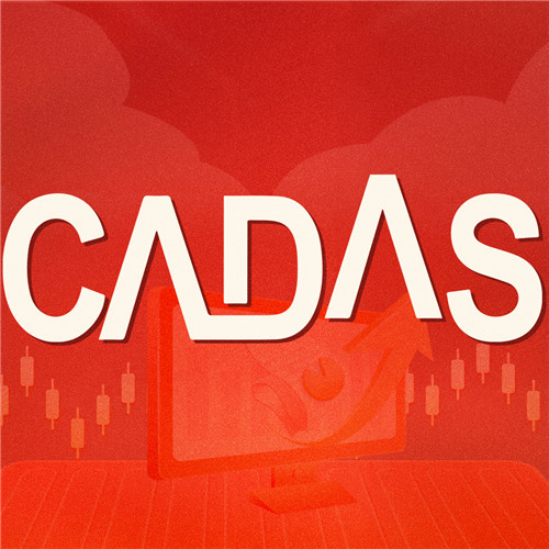 CADASָ˽Bָͨ-nICN\